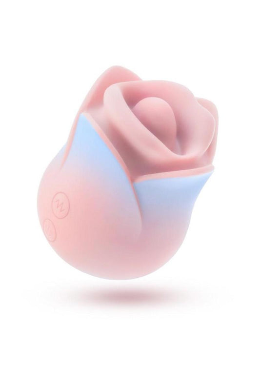 The Blush Kissing Rose